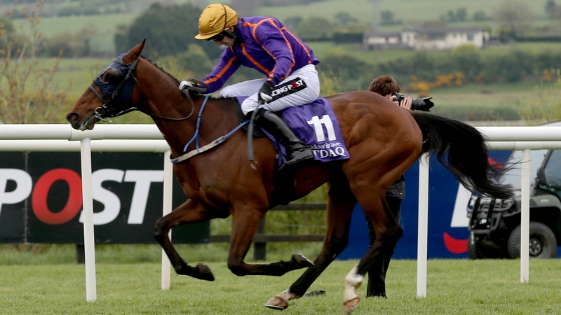 Wicklow Brave has had top-flight success in both codes