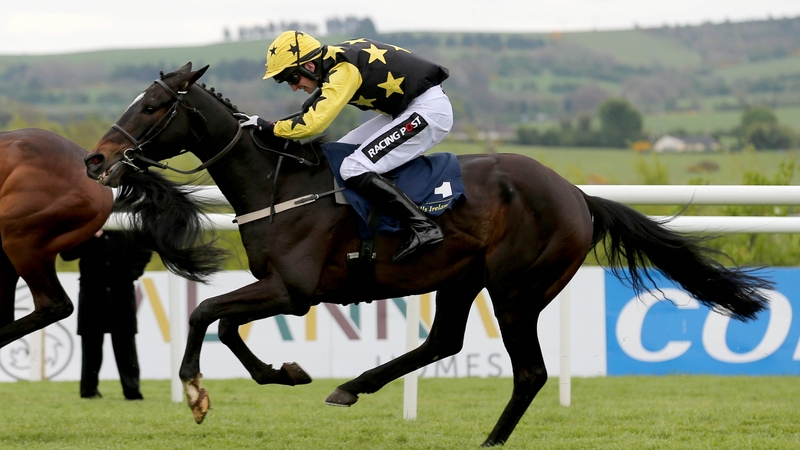 Bacardys is likely to line up in the Hatton's Grace in three weeks' time