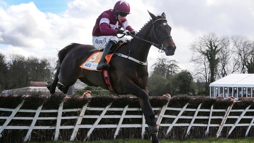 Apple's Jade looks likely to race at Cheltenham