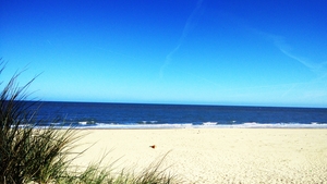 Cahore Beach in Co Wexford
 (Pic: Ciara Lawlor)