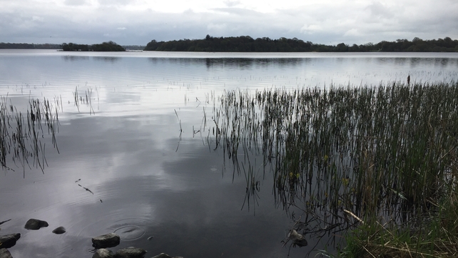 Virginia, Co Cavan (Pic: Rian Gallagher)