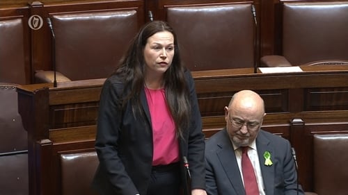 Sinn Féin's Louise O'Reilly sought to stop alcohol advertising to children online
