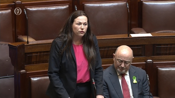 Sinn Féin's Louise O'Reilly sought to stop alcohol advertising to children online