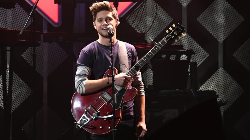 Niall Horan said One Direction members had to "do our own thing"