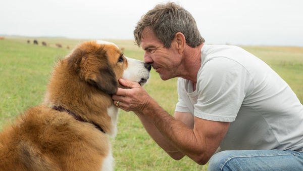 Dennis Quaid and a furry friend