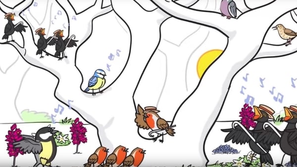 The countdown has officially begun to this weekend's RTÉ Mooney Goes Wild Dawn Chorus...