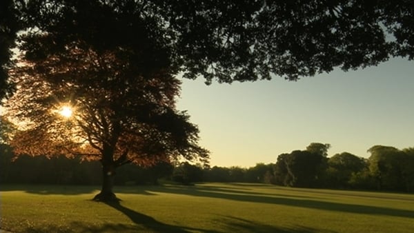 Dawn chorus marked in ambitious broadcast