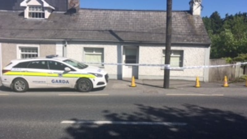 The men broke into the house on Old Dublin Road and a sum of money was taken