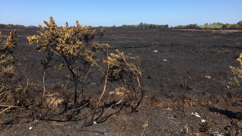 Coillte has said that the recent outbreaks of fires, such as this one in Mayo, will result in a multimillion euro bill