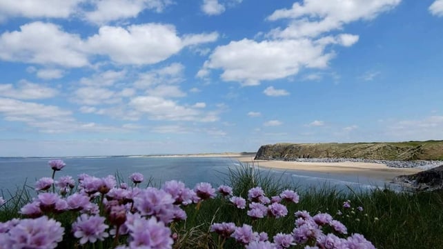 Overlooking Barrow Strand in Tralee, Co Kerry (Pic: Ita Hannon)