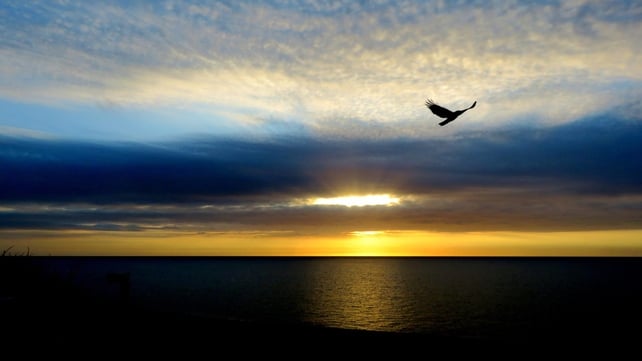 Sunrise in Greystones, Co Wicklow (Pic: Brian Keeley)