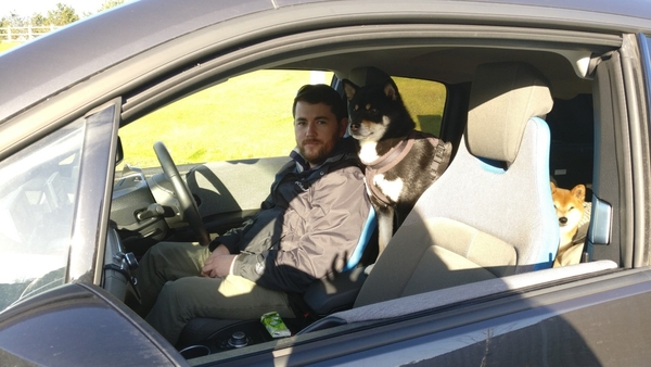 One man, Stephen Welstead, and his dog, Ryuu, on their electric journey.