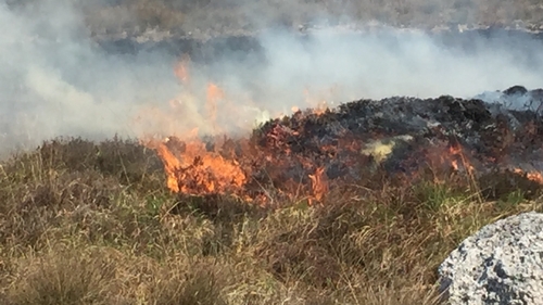 11 prosecutions have been taken against people for starting fires in recent years