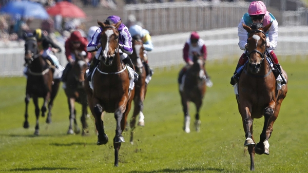 Enable is odds-on to win the race