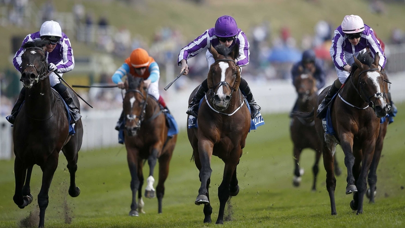 Venice Beach (purple cap)