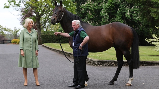 ...while the Duchess of Cornwall visited the Irish National Stud