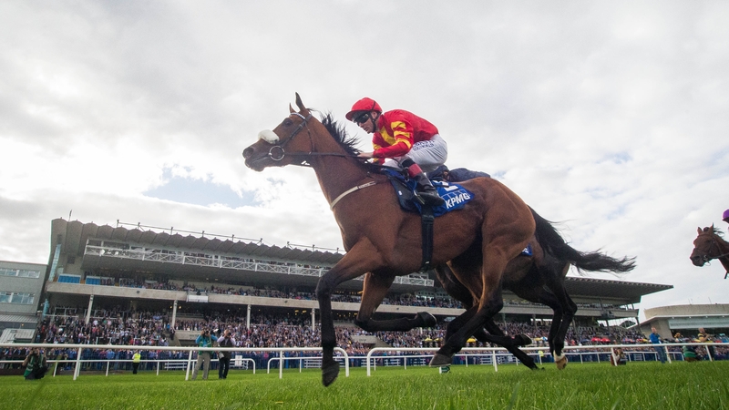 Zhukova was the pre-race favourite in the Man o'War Stakes at Belmont Park.