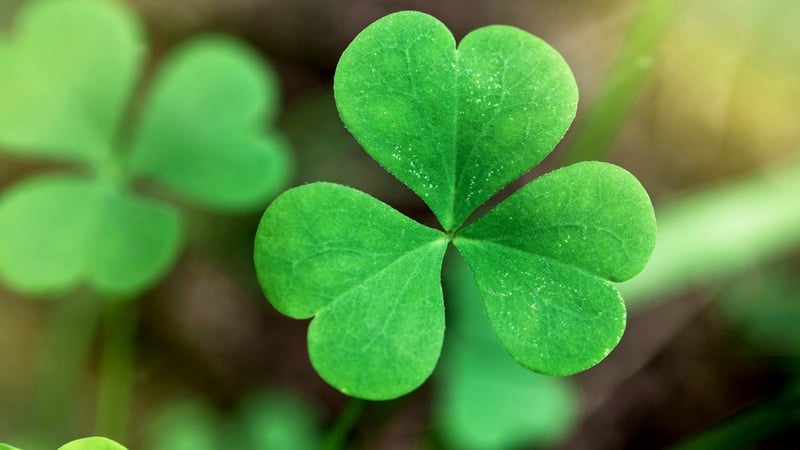 When I finally arrived to the emerald island, I just couldn't believe to what extent this idea of the Irish was true...