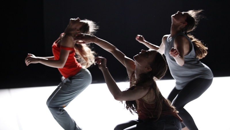 From 'Sunny' by acclaimed choreographer Emanuel Gat, one of the highlights of this year's Dublin Dance Festival programme.