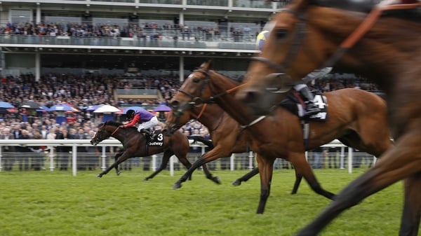 Ryan Moore and Dartmouth came up the stands rail to score at York