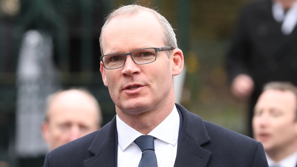 Minister Coveney asked for a new expert report, headed up by the former chief planner for Scotland Jim Mackinnion