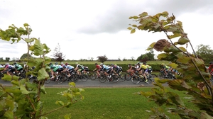 The peloton makes its way out of Trim