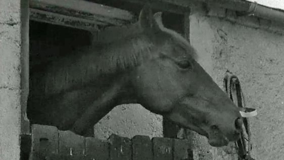 Horse (Broadsheet, 1962)