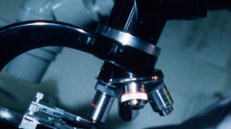 Researchers established the age of the fossils by dating the sedimentary rock in which they were found