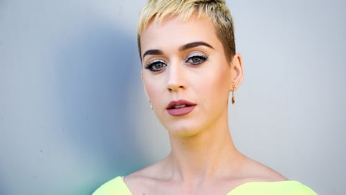 Katy Perry says fans should unite and love each other