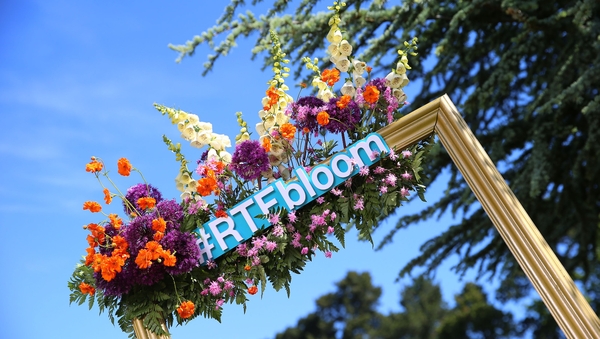 Follow live updates from day one at Bloom 2017 from Dublin's Phoenix Park, all day long.