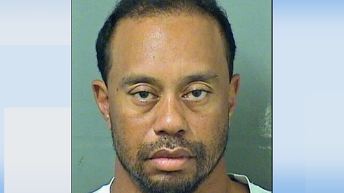 Tiger Woods was taken into custody at about 3am local time