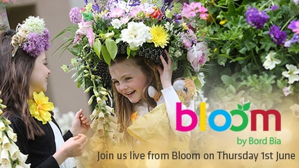 Bloom 2017: What's on TV