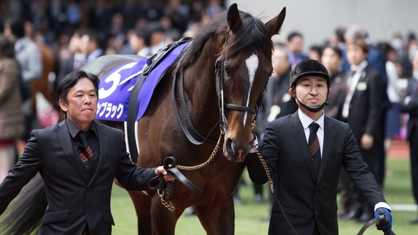 Kitasan Black won the Osaka Hai in April