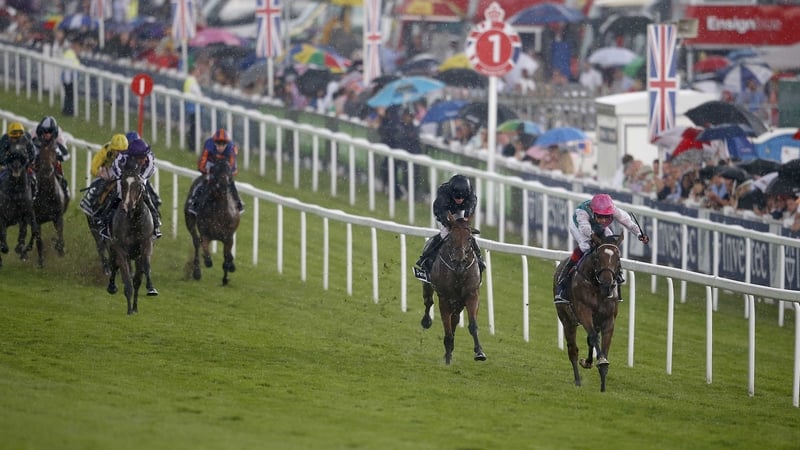 Enable's stamina saw her power five lengths clear of Rhododendron at the line