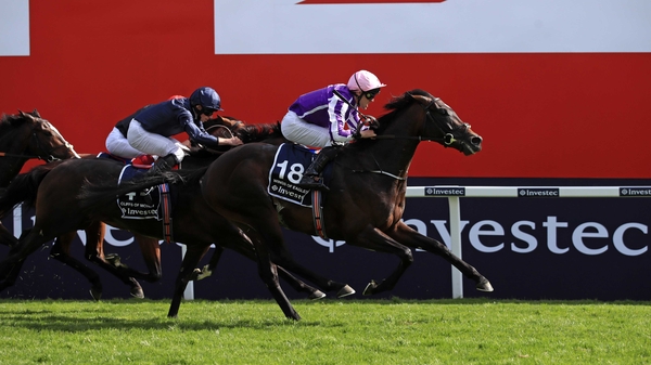 Wings Of Eagles goes in the Irish Derby on Saturday