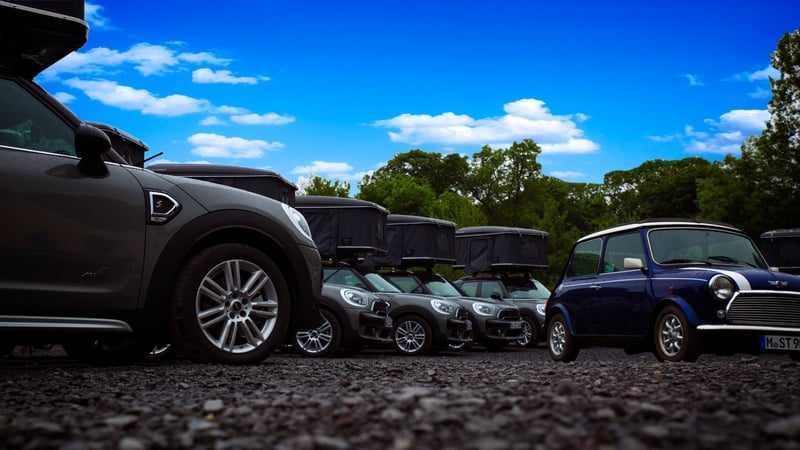 The International Mini Meeting was held this year on the doorstep of Westport House.