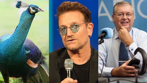 The story ruffled a few feathers on Liveline back in 2011