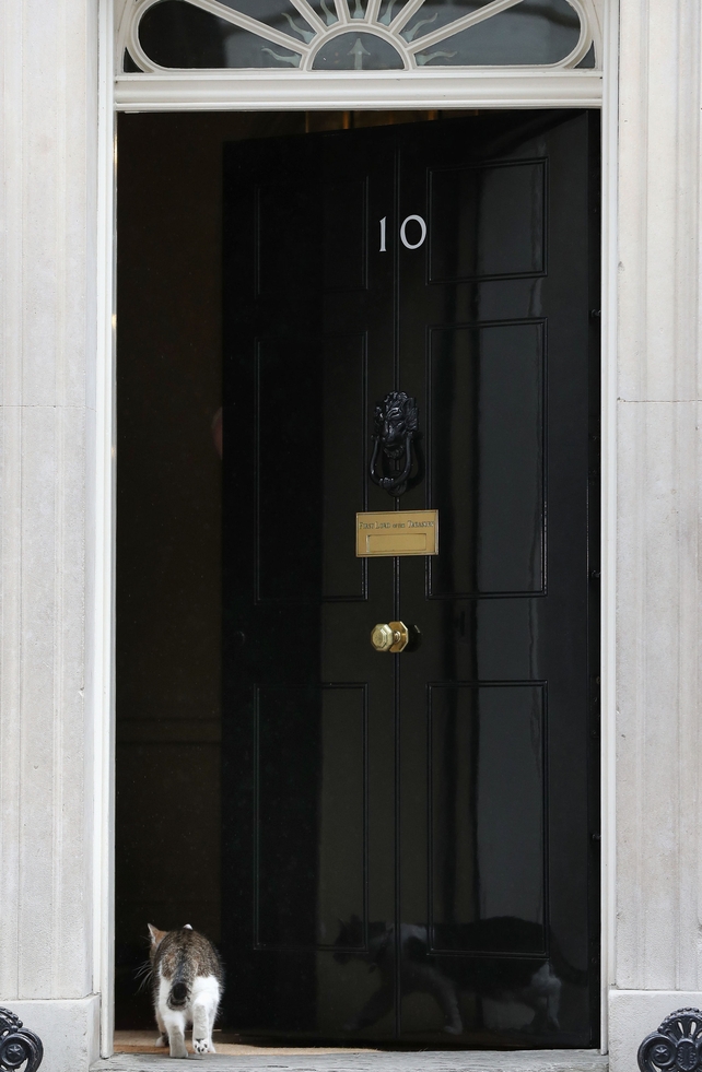 Larry the Number 10 cat will remain at Downing Street regardless of the result