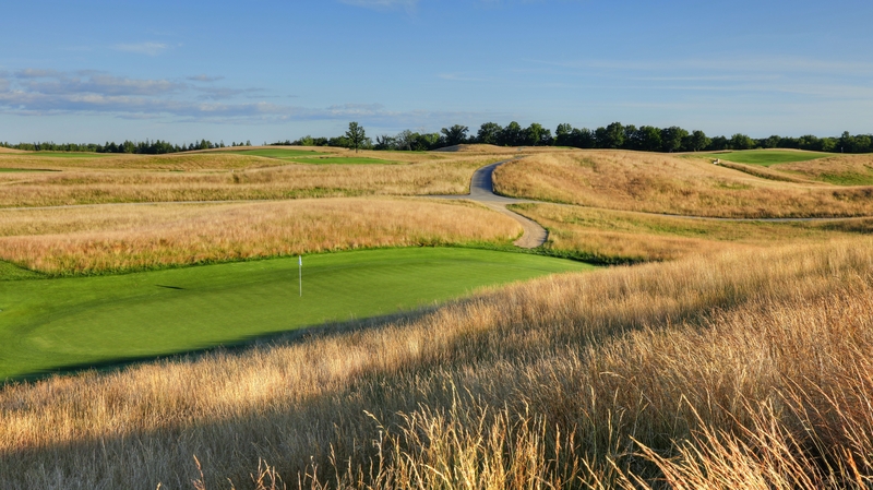 Shane Lowry: 'I personally don't like it when they try and make inland links golf courses'
