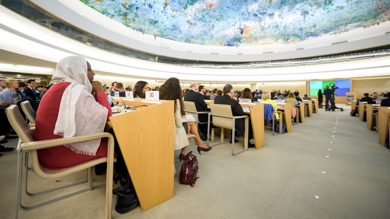 The UN committee ruled Ireland's abortion laws violated the rights of Siobhan Whelan and ordered the State to compensate her and provide her with psychological treatment