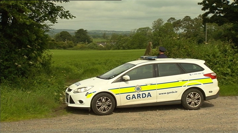 Patricia O'Connor's remains were found scattered across a 30km area of Dublin and Wicklow