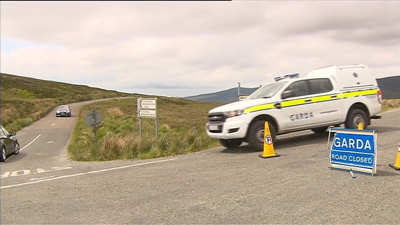 Her remains were found dispersed along Military Road in the Wicklow mountains