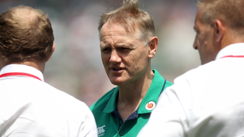 Joe Schmidt: 'The practicality of it makes sense'