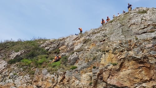 Marley the Golden Retriever is rescued from a cliff in Sutton
