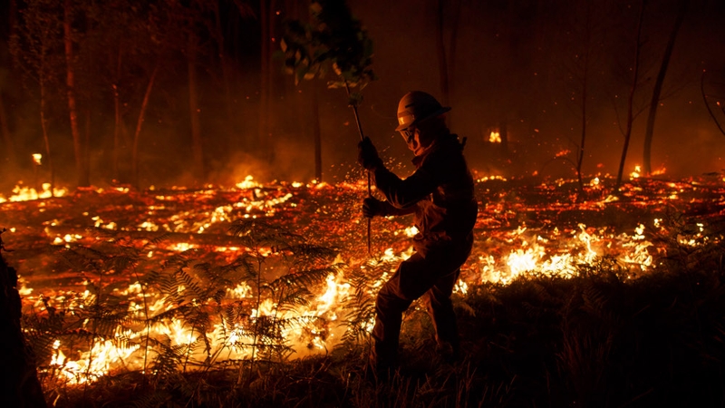 Firefighters worked through the night to contain the blaze