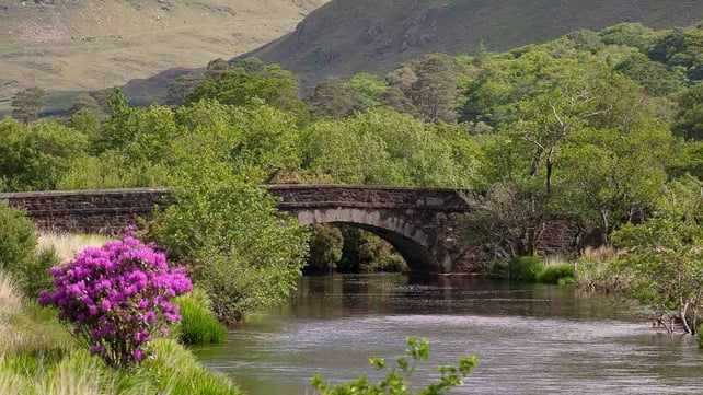 Down by the river near Delphine, Co Mayo (Pic: Kay Caplice)