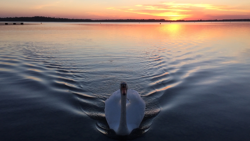 Sunset at Loughrea Lake. Photo: Ríona Holohan