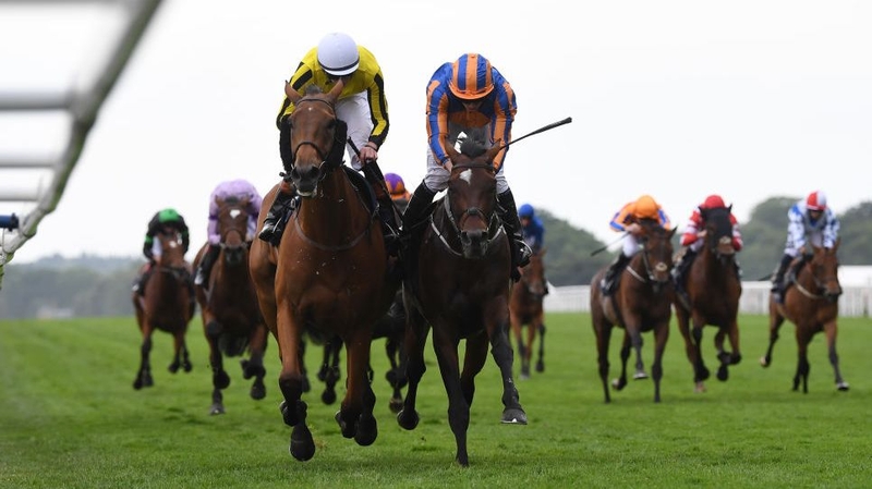 Big Orange (l) winning the Ascot Gold Cup