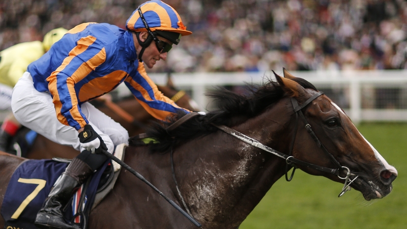 Seamie Heffernan guides Idaho to victory at Royal Ascot