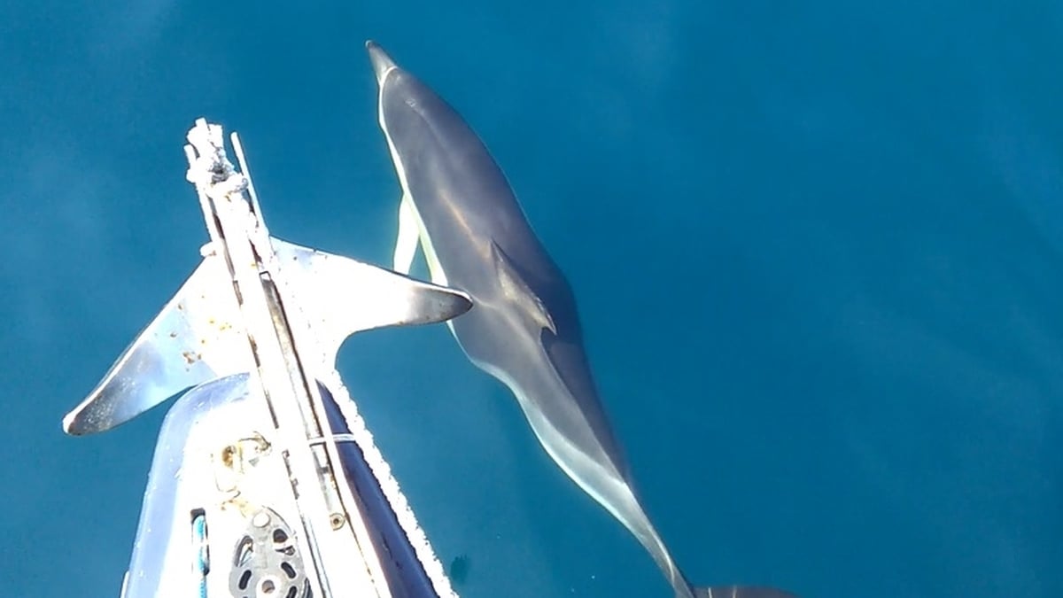 Seascapes Friday 28 July 2017